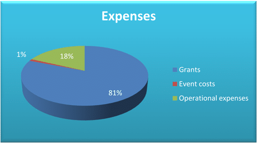2013-Year-in-Review-expenses